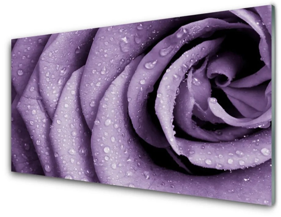 Obraz plexi Ruže kvet rastlina 100x50cm