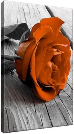 Obraz na plátne Nádherná ruža 20x30cm 1139A_1S