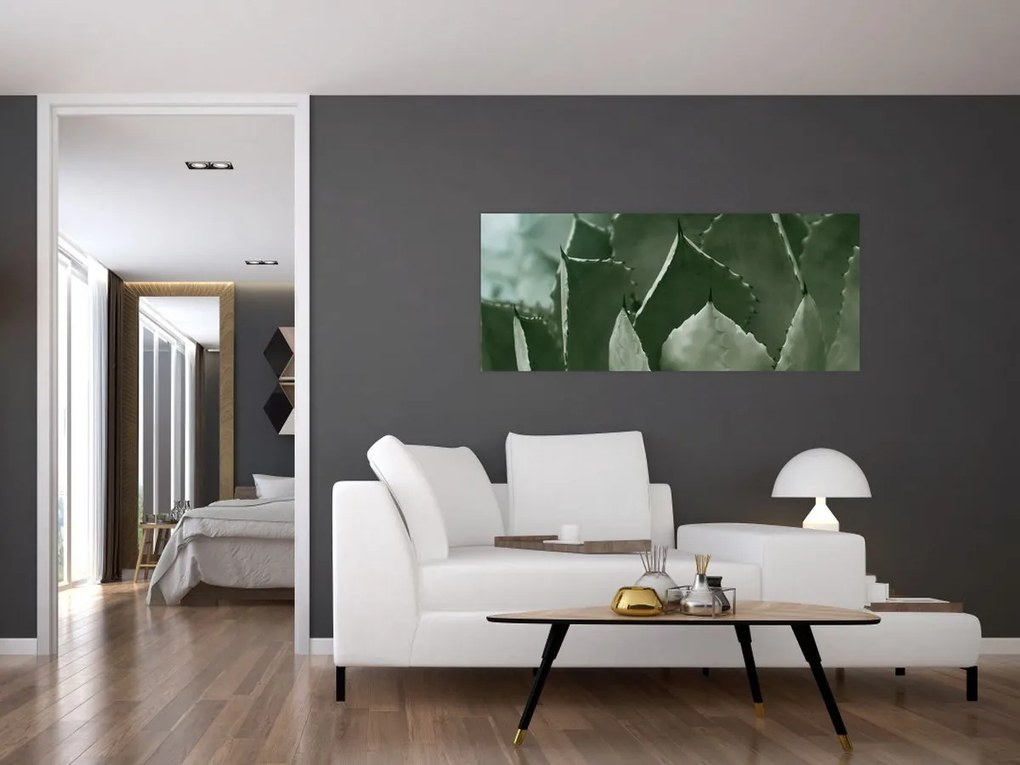 Obraz - Zelená agáve (120x50 cm)