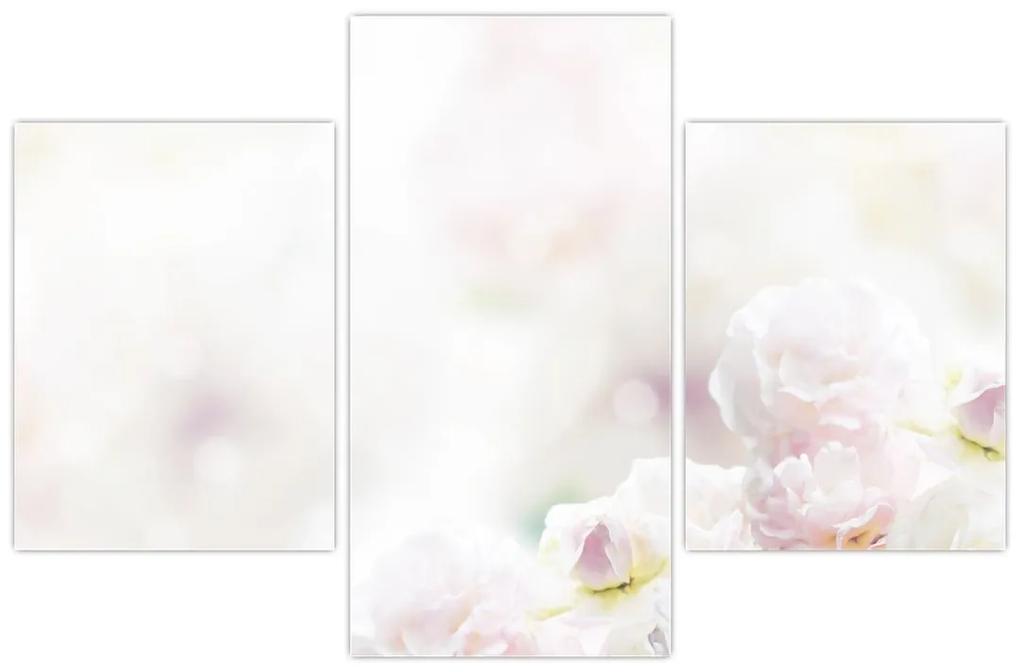 Obraz nežných kvetov (90x60 cm)