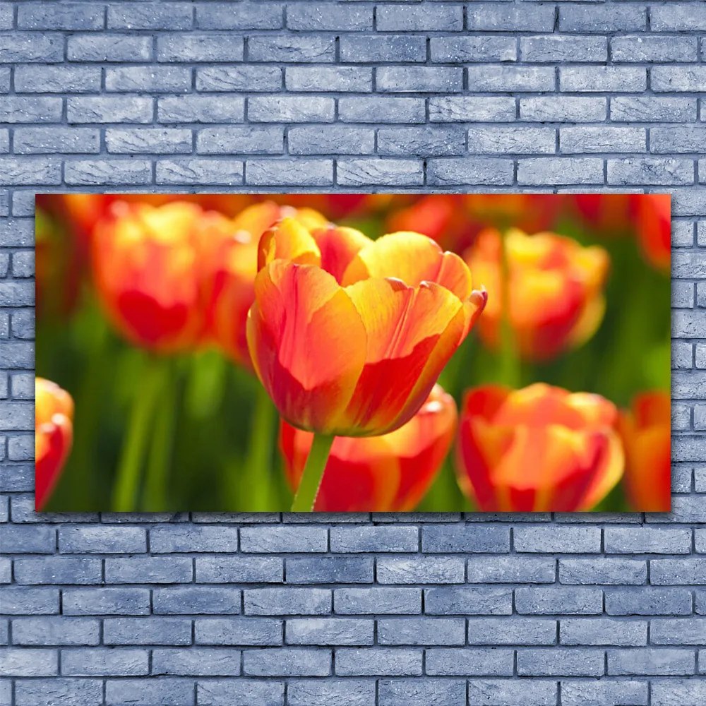 Obraz plexi Tulipány kvety rastlina 120x60 cm