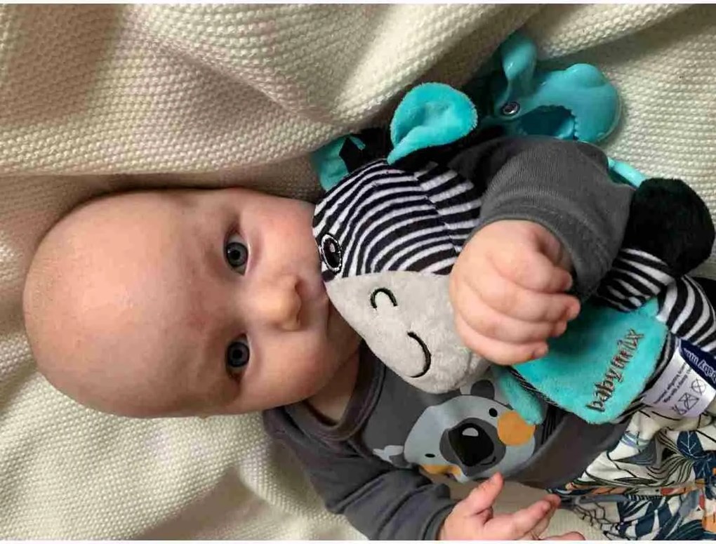 Baby Mix Edukačná hrajúca plyšová hračka s klipom Zebra, 17 cm