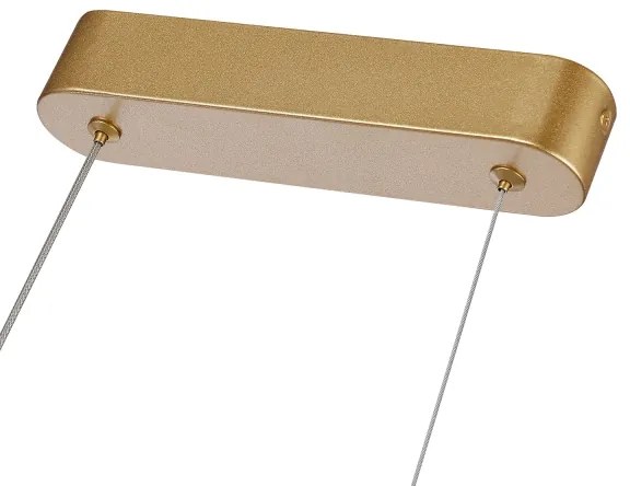 Brilagi-LED Stmievateľný luster na lanku TWISTER LED/60W/230V 3000-6000K zlatá+DO