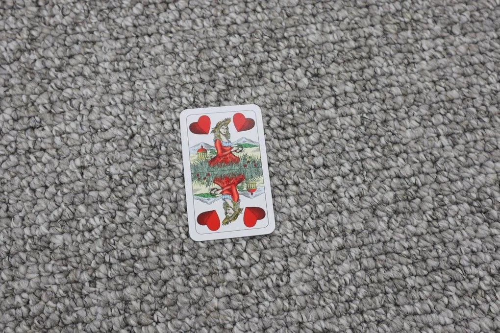 Vopi koberce Kusový koberec Wellington sivý - 200x300 cm