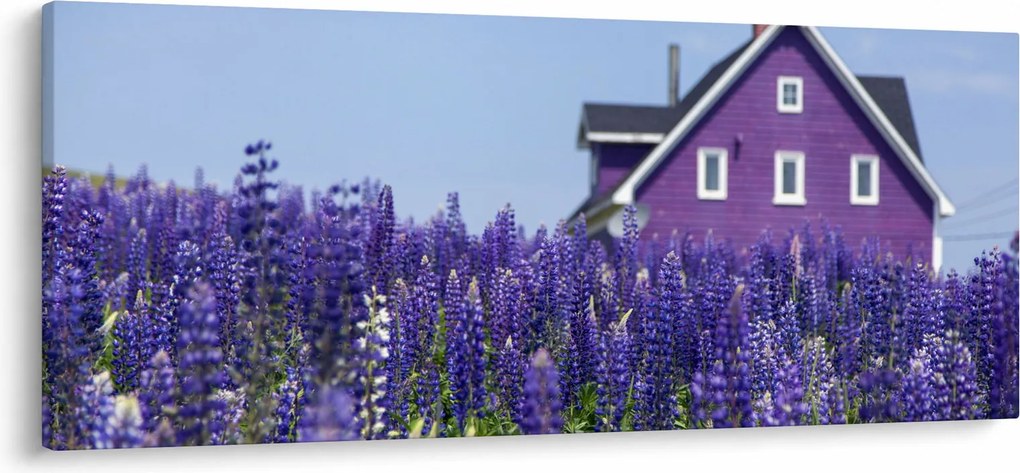 Obraz levanduľového poľa (120x50 cm)