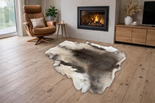 Koberec RENIFER POK017 sivý / biely