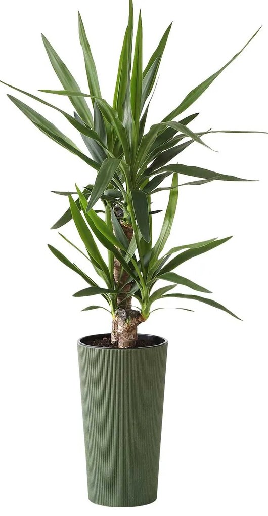 PLASTOVÝ KVETINÁČ URBANIKA ECO 46X25 CM ZELENÁ