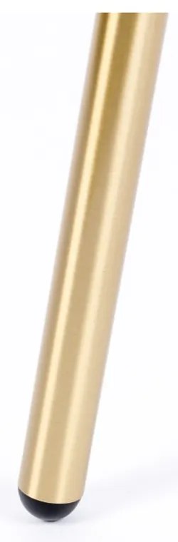 Oceľový vešiak v zlatej farbe Darwin - White Label