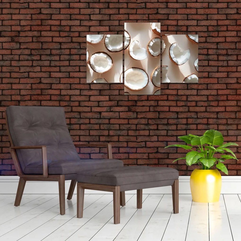 Obraz - Kokosové orechy (90x60 cm)