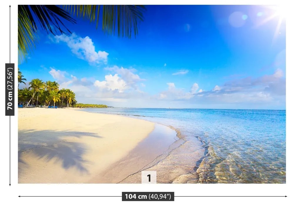 Fototapeta Vliesová Tropická pláž 312x219 cm