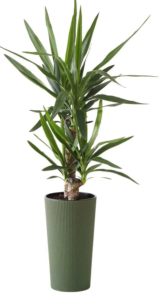 PLASTOVÝ KVETINÁČ URBANIKA ECO 46X25 CM ZELENÁ