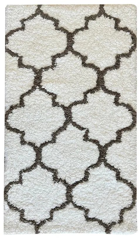 Koberec Shaggy Appleton 0,8/1,5 PSR-13552