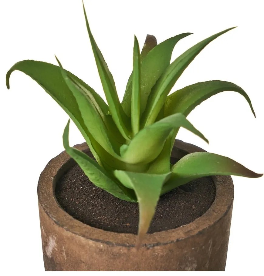 Umelé rastliny v súprave 4 ks (výška 10 cm) Cactus – Casa Selección