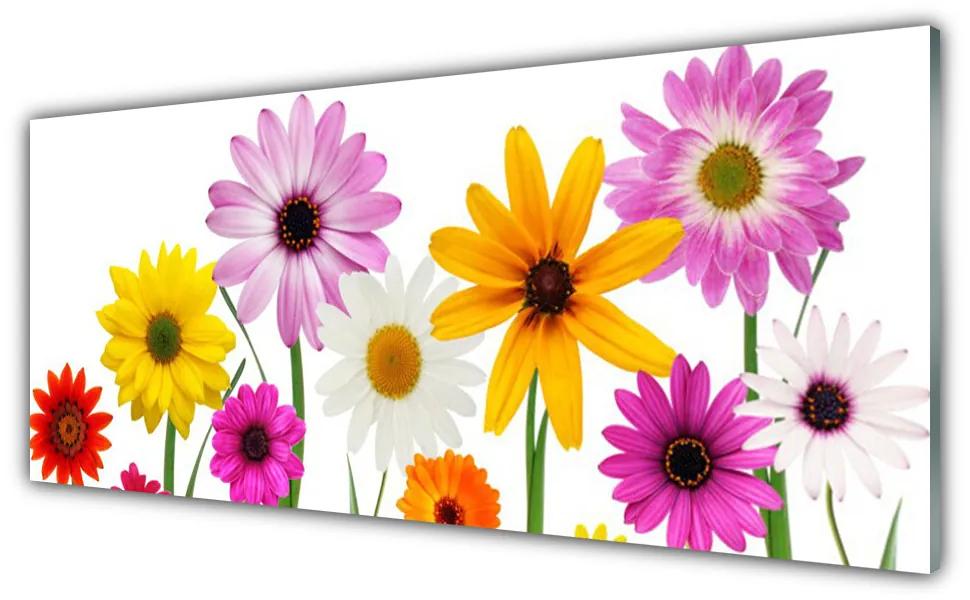 Obraz plexi Farebné kvety príroda 125x50 cm