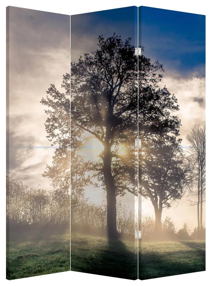 Paraván - Strom v hmle (126x170 cm)