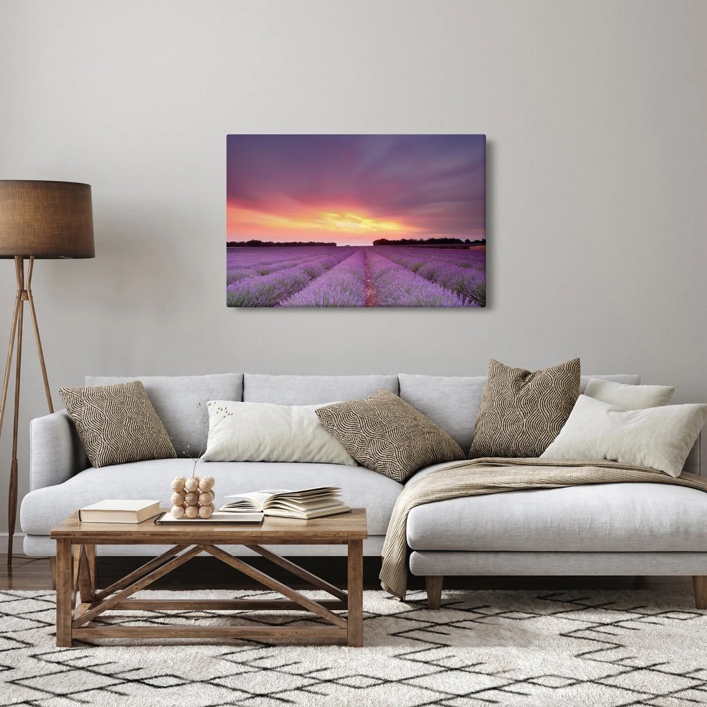 Obraz - Levanduľové pole (90x60 cm)