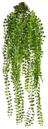 Umelá rastlina Columnea závesná, 48 cm, zelená