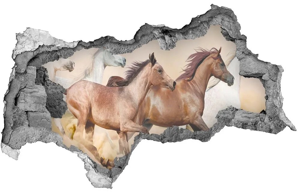 Diera 3D fototapeta nálepka Cválajúca kone nd-b-56781097