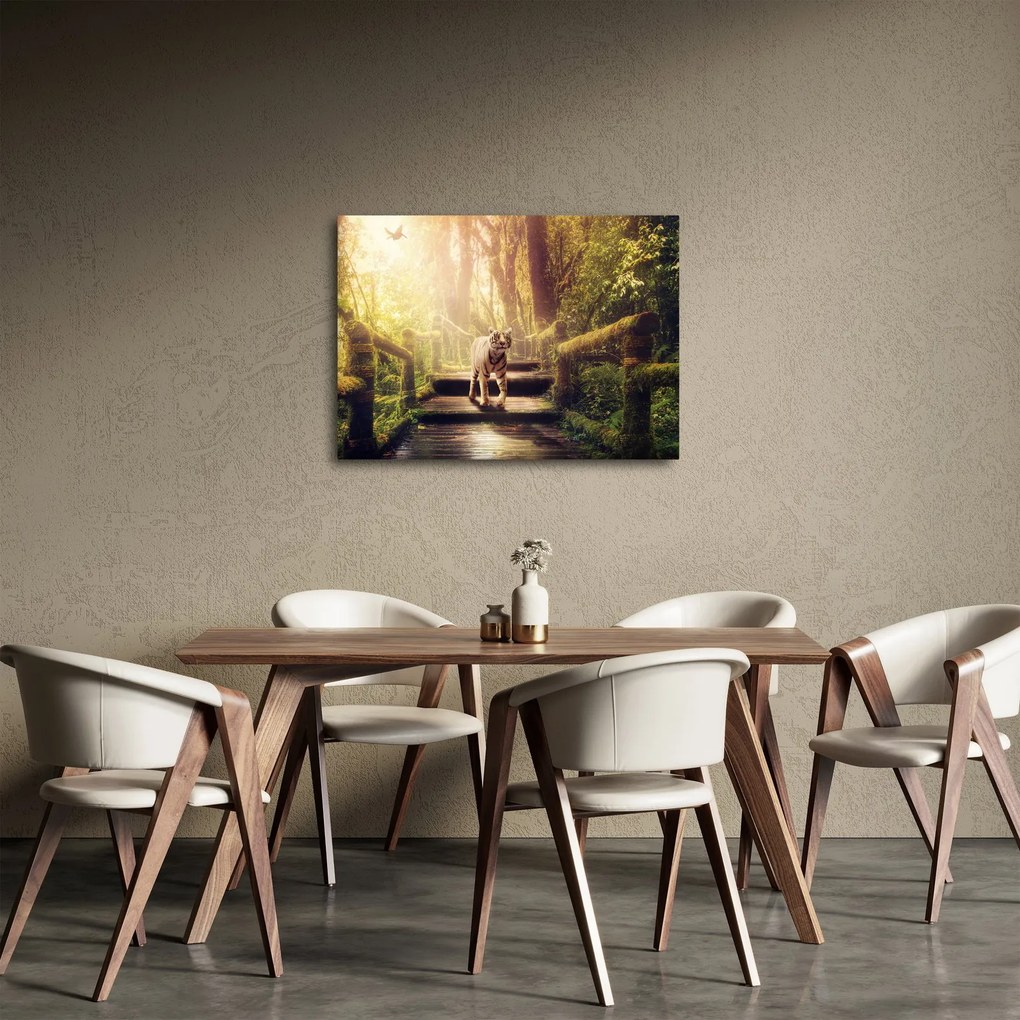 Obraz tigra (70x50 cm)