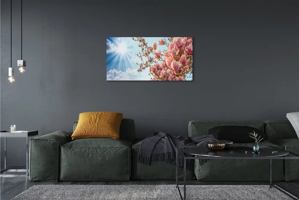 Obraz canvas Magnólie neba slnko 125x50 cm
