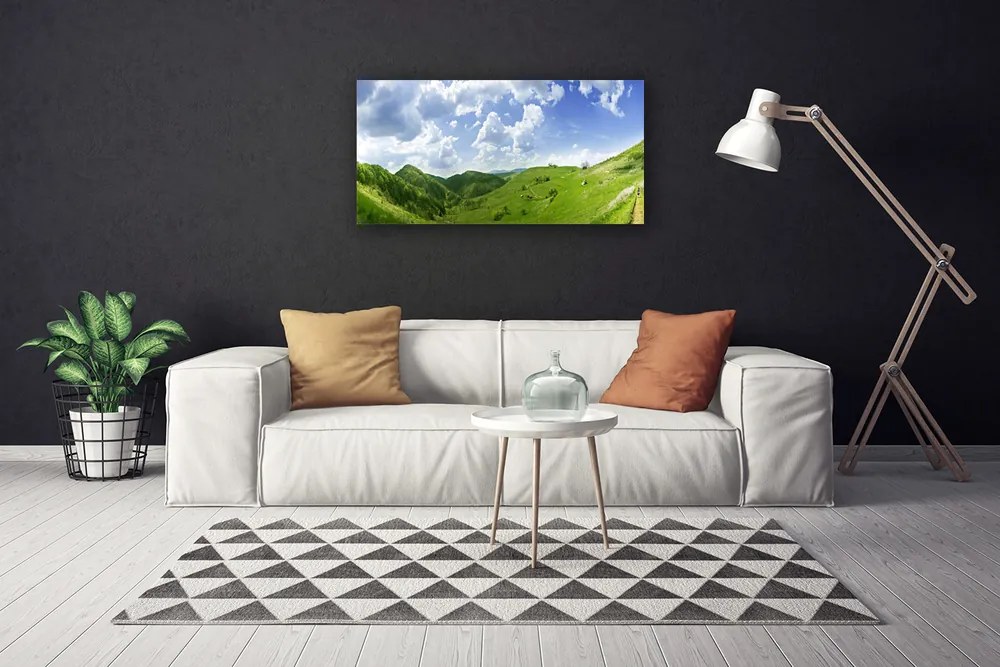 Obraz Canvas Hora lúka príroda 120x60 cm