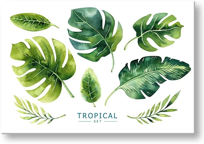 Obraz na stenu s textom Tropical set | rôzne rozmery