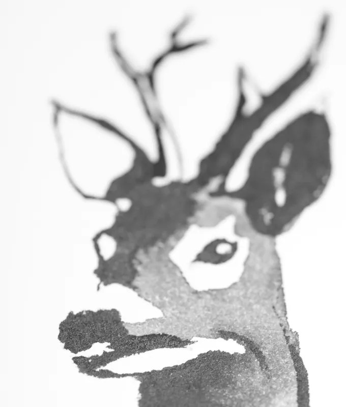 Plagát Roe Deer 50x70