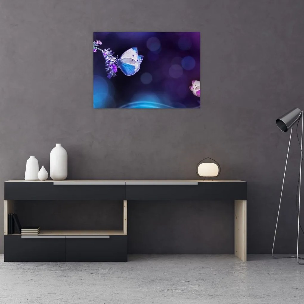 Sklenený obraz - Motýle na levanduli (70x50 cm)