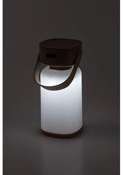 Rabalux 77143- LED Stmiev. nab. dot. von. stolná lampa FUNES LED/3W/5V IP44 hnedá