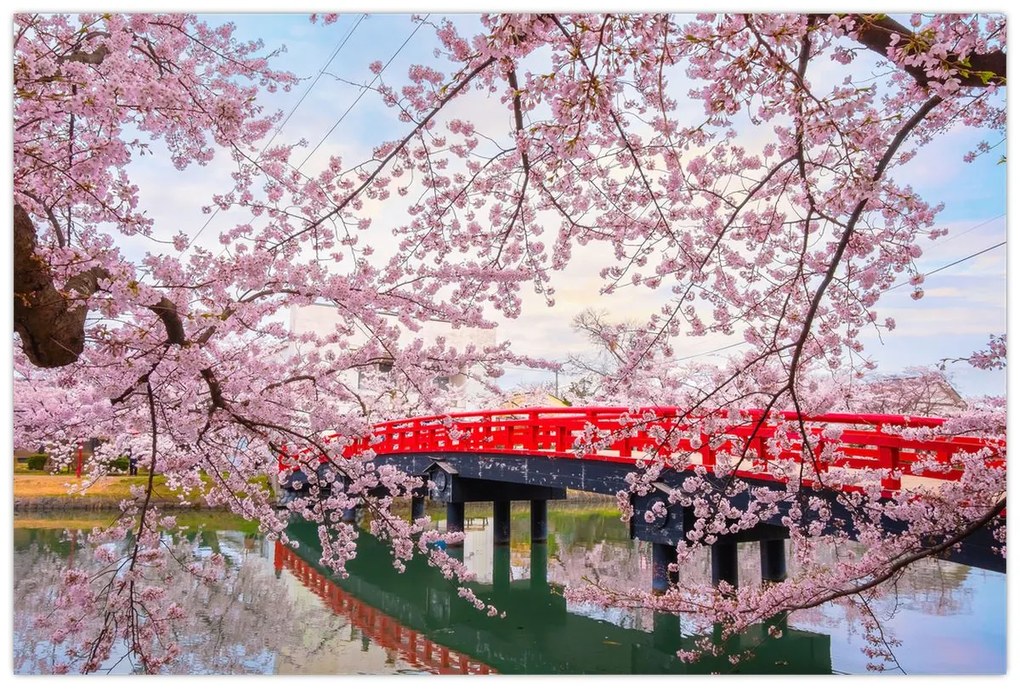 Obraz - Hirosaki, Japonsko (90x60 cm)