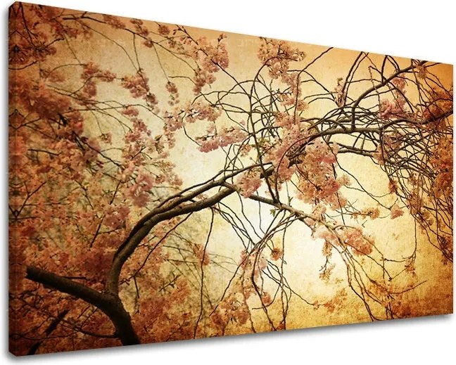 Obraz na stenu KVETY KV009E11 - 80x120 cm