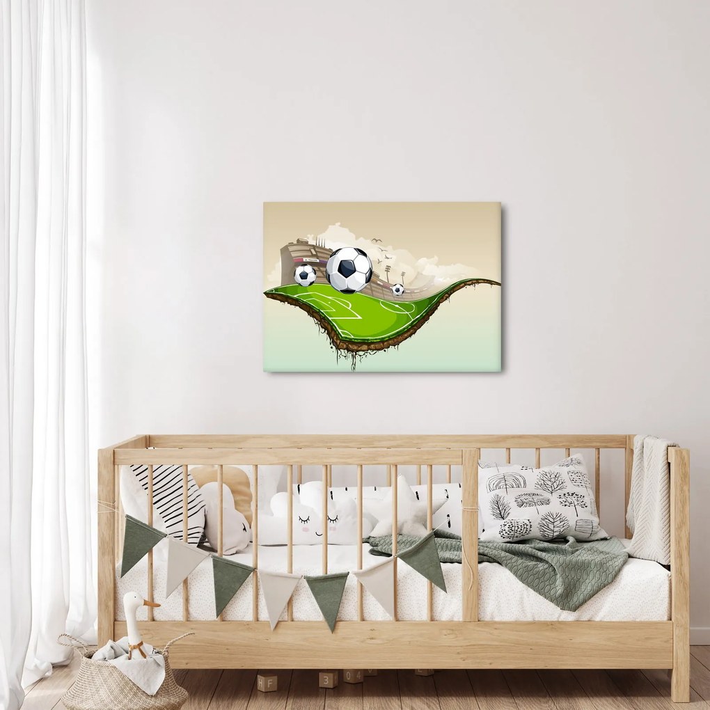 Obraz - Futbalové ihrisko (70x50 cm)