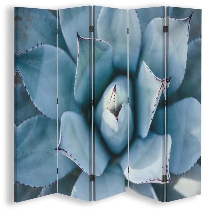 Ozdobný paraván Květy kaktusů - 180x170 cm, päťdielny, obojstranný paraván 360°