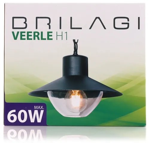 Brilagi - LED Vonkajšie závesné svietidlo VEERLE 1xE27/60W/230V IP44