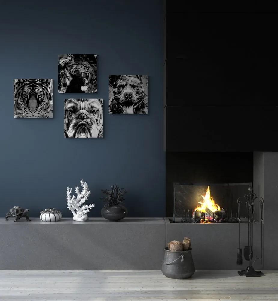 Set obrazov zvieratá v čiernobielom prevedení pop art štýlu - 4x 40x40
