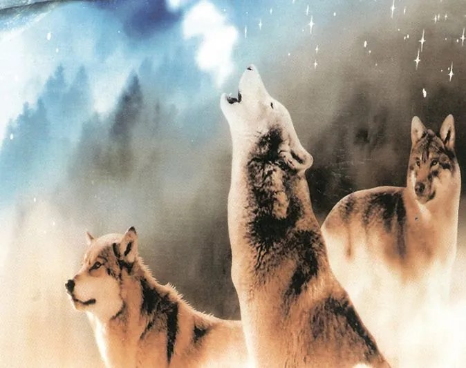 Obliečky GERDA WOLVES 140x200 cm