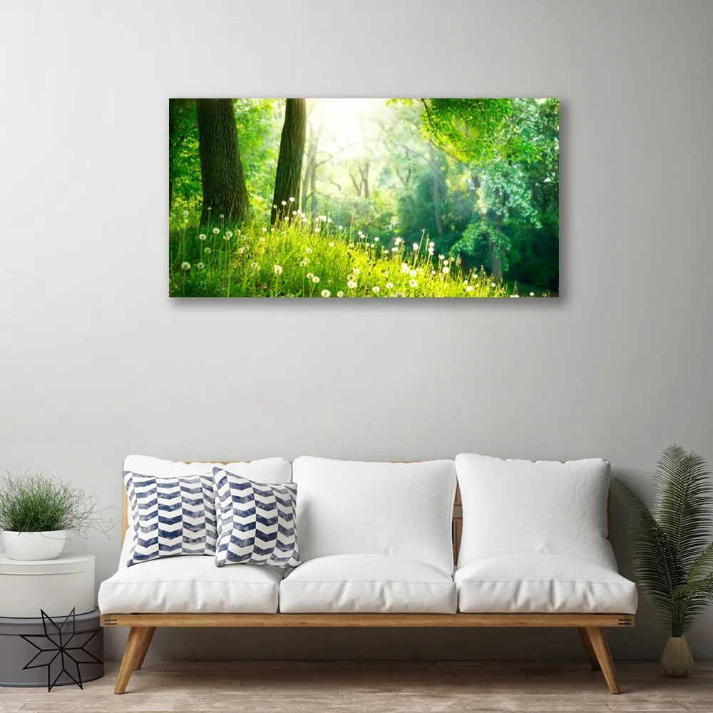 Obraz Canvas Lúka príroda rastlina 125x50 cm