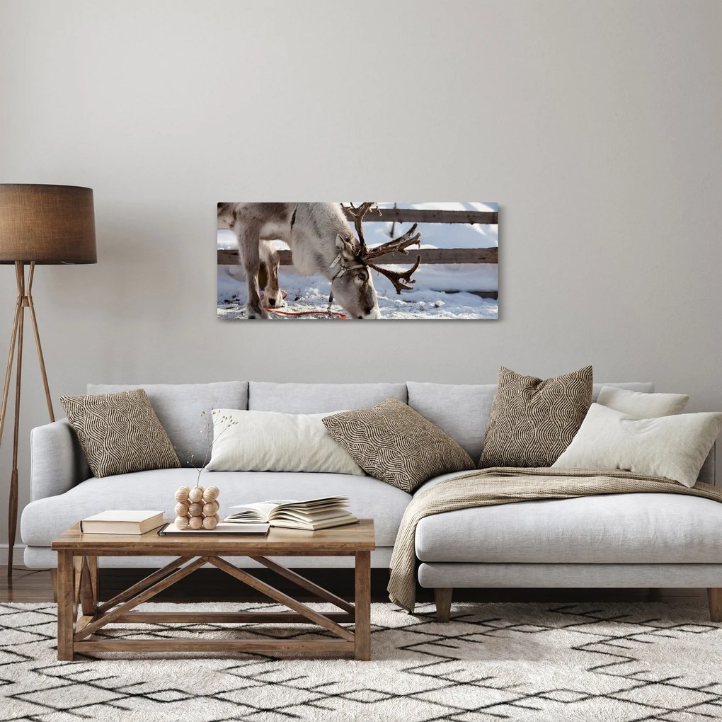 Obraz - Sob (120x50 cm)