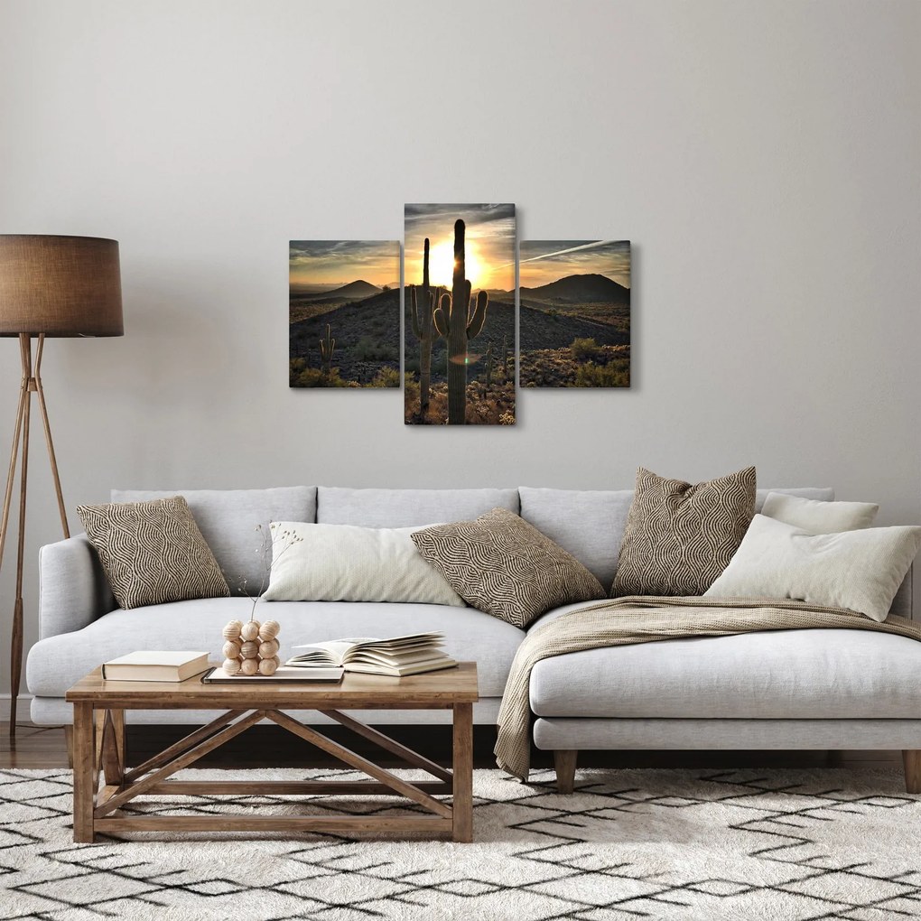 Obraz - kaktusy v slnku (90x60 cm)