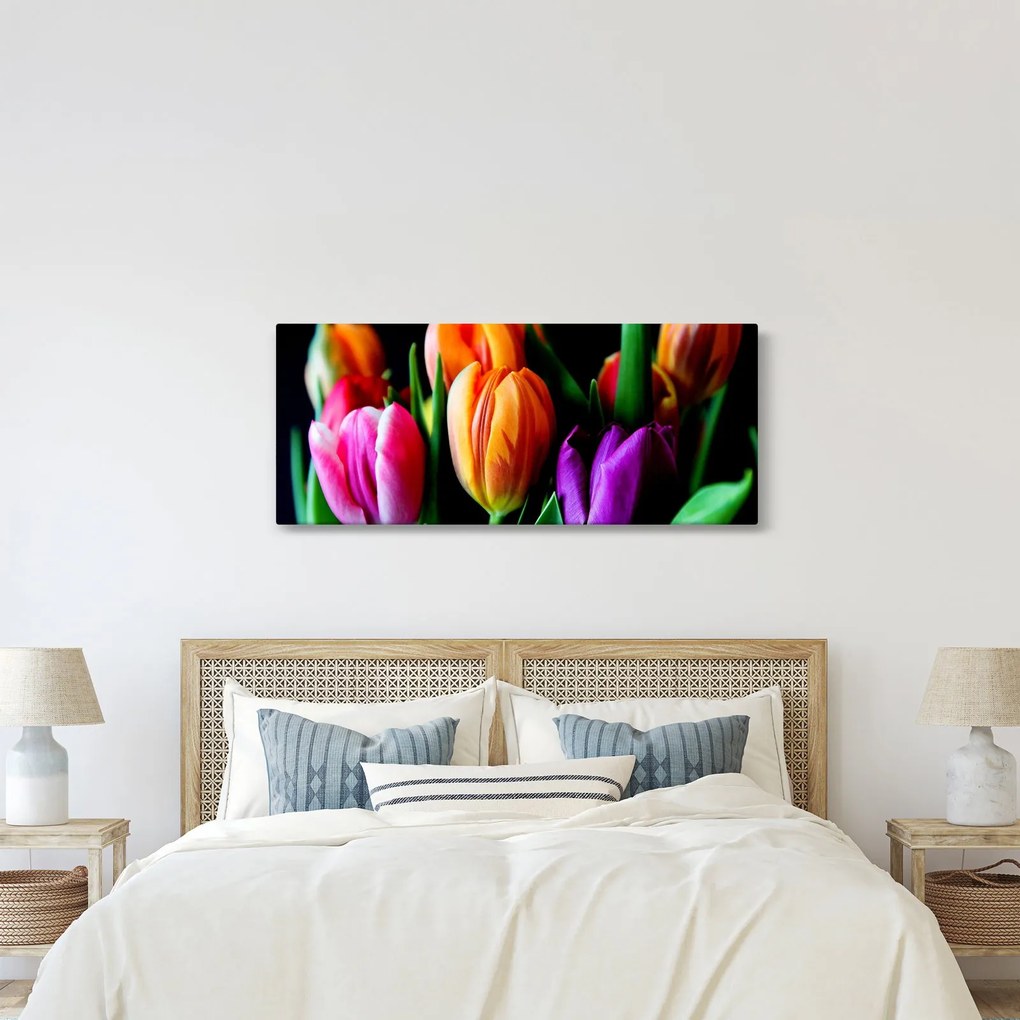 Obraz tulipánov na čiernom pozadí (120x50 cm)