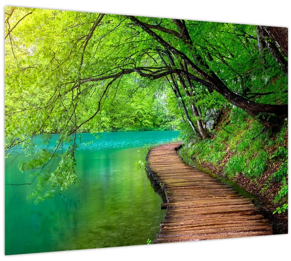 Sklenený obraz - Plitvické jazerá (70x50 cm)