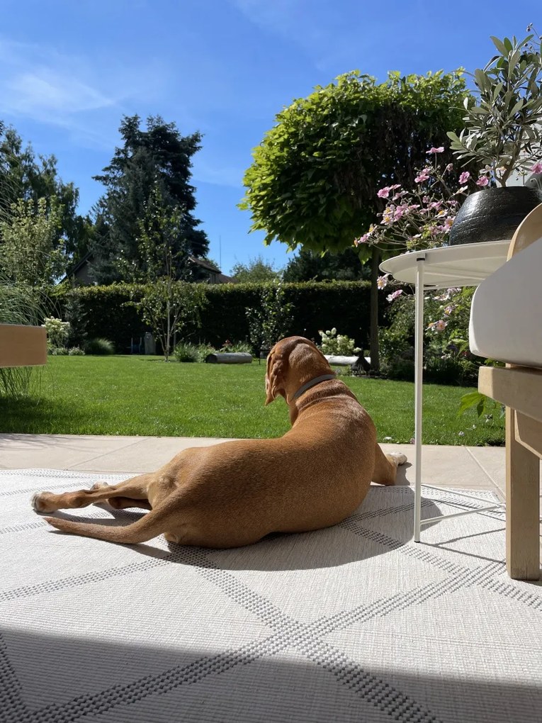 Hanse Home, Kusový koberec Twin Supreme 103760 Grey / Cream – na von aj na doma, 160x230, šedá, chodba / predsieň