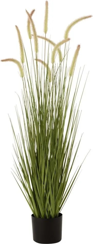 Dekoratívna okrasná tráva v kvetináči - 11*90 cm
