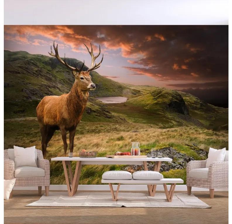 Artgeist Fototapeta - Deer on Hill Veľkosť: 200x140, Verzia: Premium