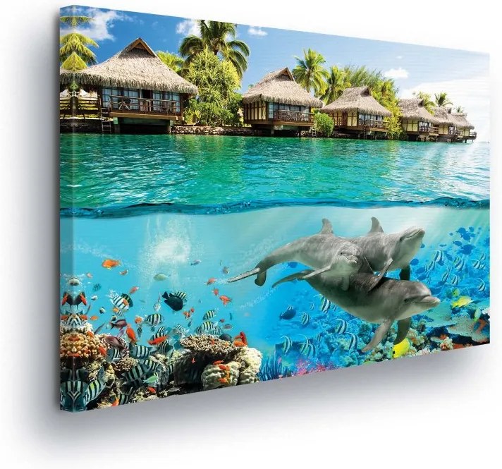 GLIX Obraz na plátne - Underwater World with Dolphins II 100x75 cm