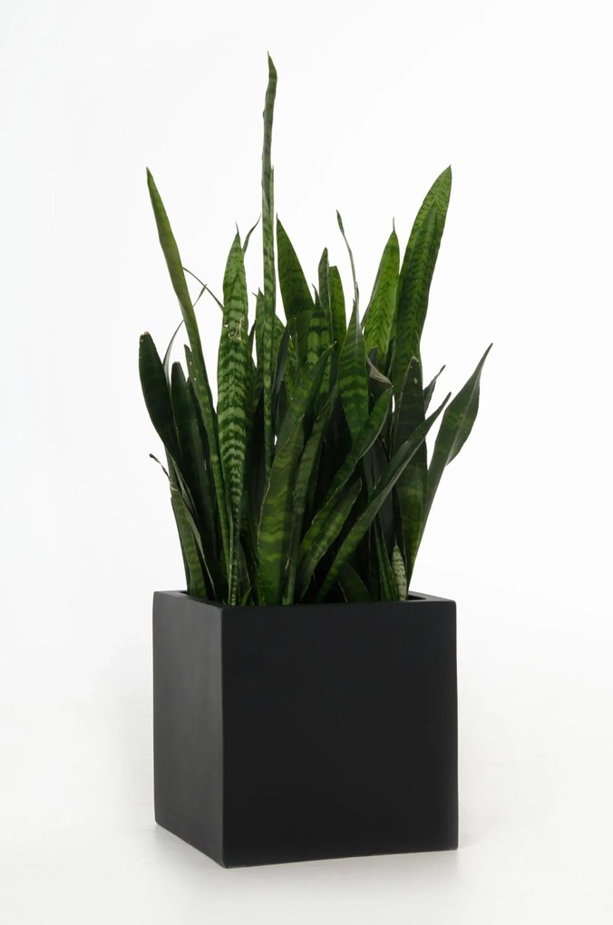 Kvetináč BLOCK, sklolaminát, 30x30x30 cm, antracit