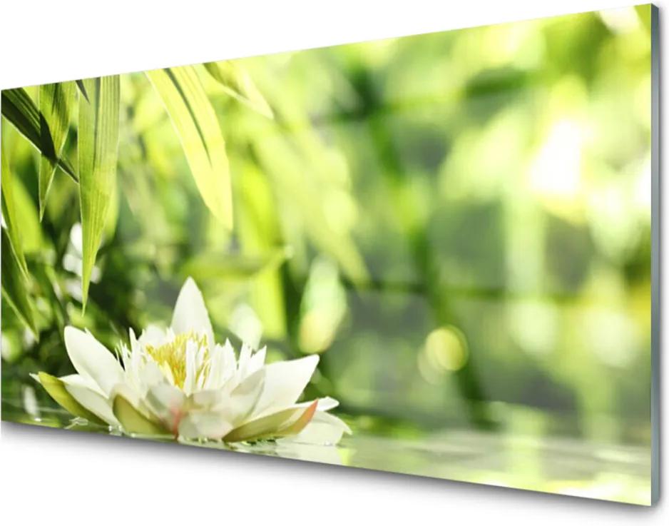 Obraz na skle Sklenený Kvet Listy