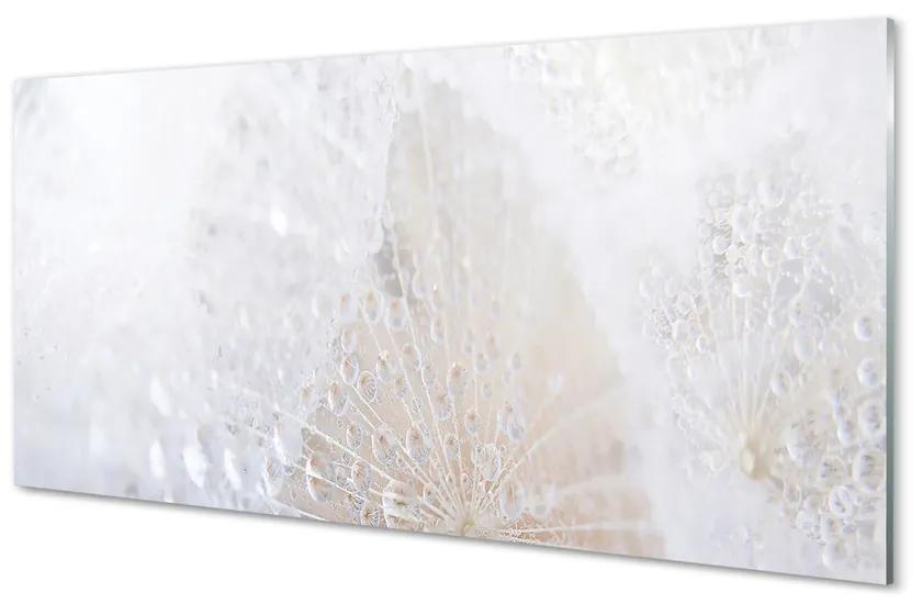 Sklenený obklad do kuchyne Kvapky púpava abstrakcie 125x50 cm