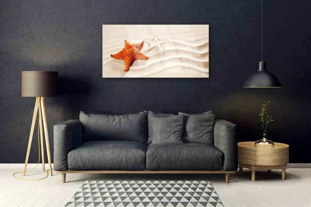 Skleneny obraz Hviezdice na piesku pláž 140x70 cm