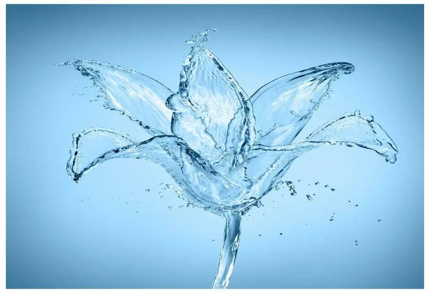 Fototapeta Vliesová Vodný kvet 312x219 cm